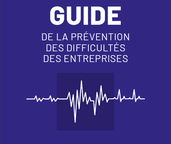 MEDEF : Guide pratique sur la prévention des difficultés des entreprises